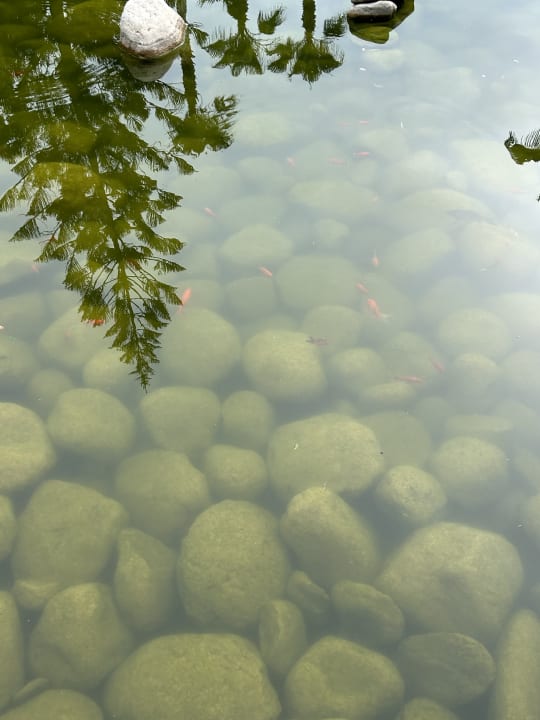 Gartenanlage Labranda Alantur Resort