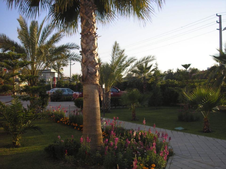 Palmengarten Hotel Orfeus Park