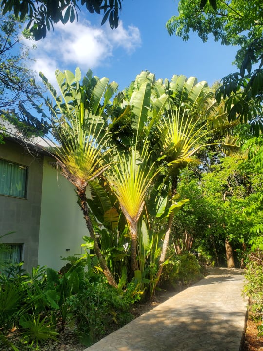 Gartenanlage Sandos Caracol Eco Resort