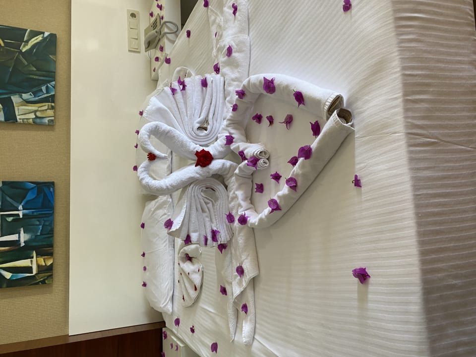 Zimmer Seaden Sea World Resort & Spa