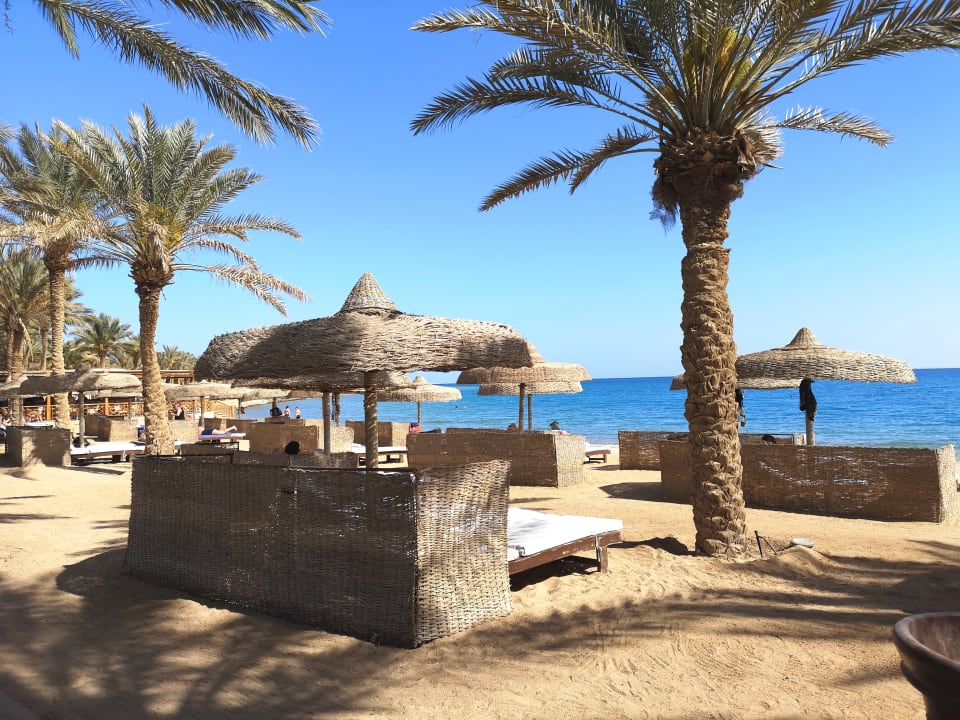 Strand Palm Royale Resort - Soma Bay