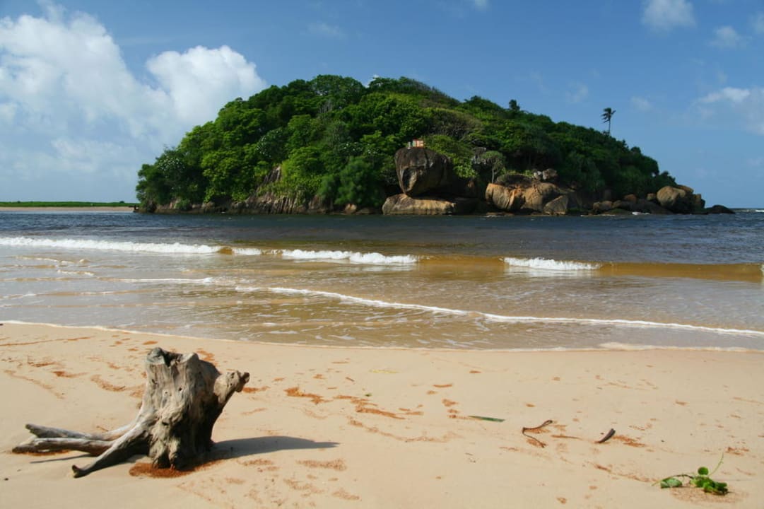 Strand vor dem Hotel Hotel Lanka Princess Ayurveda