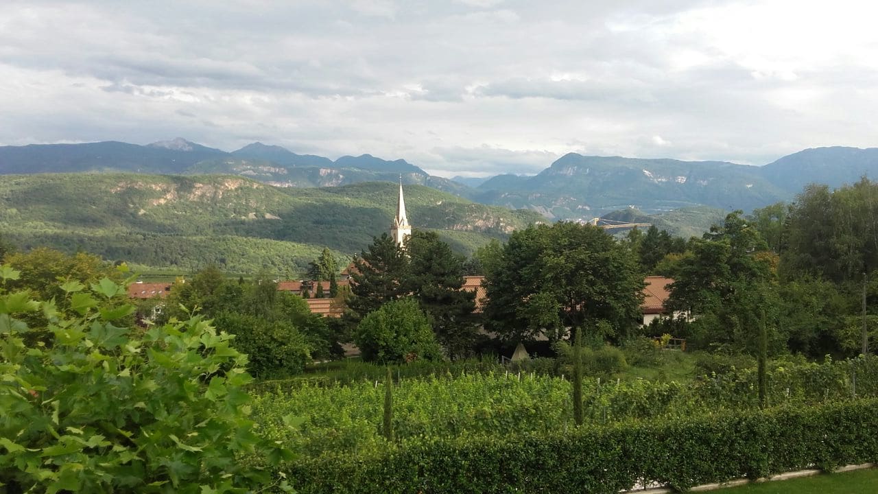 Ausblick Villa Weingarten