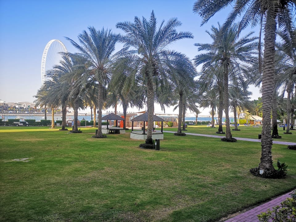 Gartenanlage Sheraton Jumeirah Beach Resort
