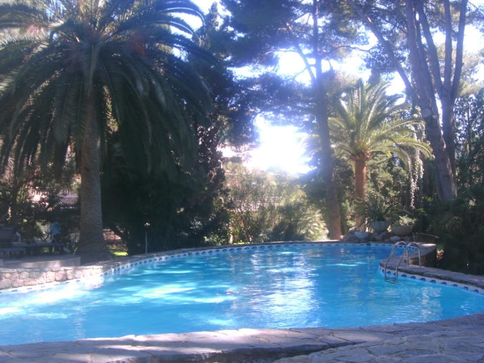 Pool Lago Garden