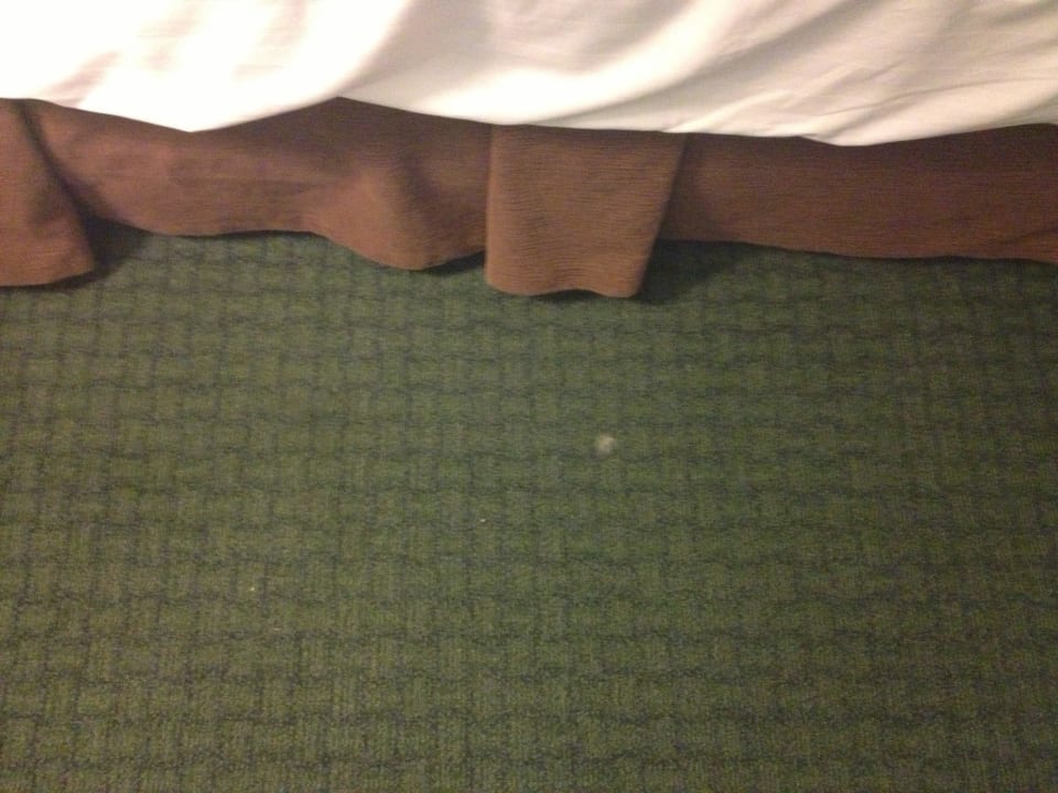 Schmutziger Teppich Barceló Hotel Santo Domingo