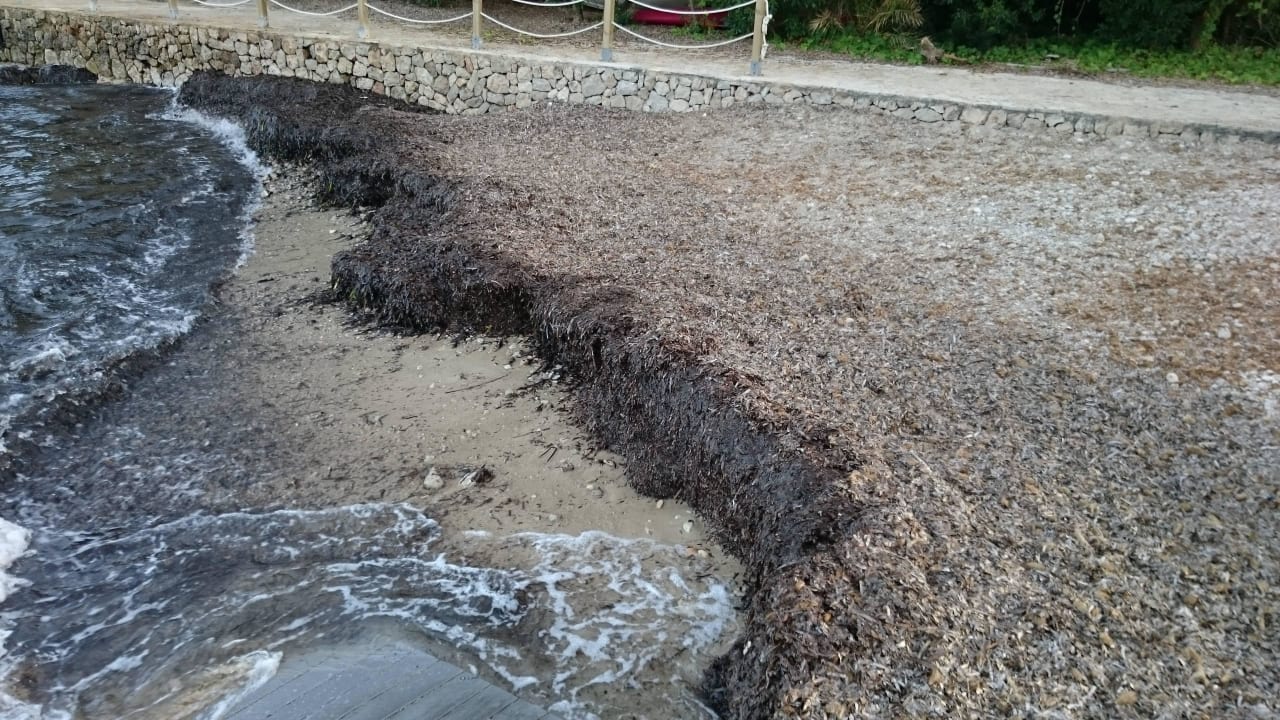 Strand Hotel Son Caliu Spa Oasis