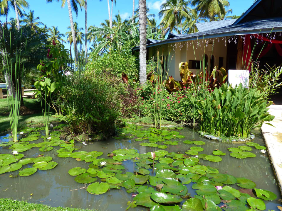 Wellness- und Beautycenter Hotel Alisei