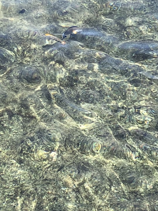 Strand The Grand Hotel Sharm El Sheikh