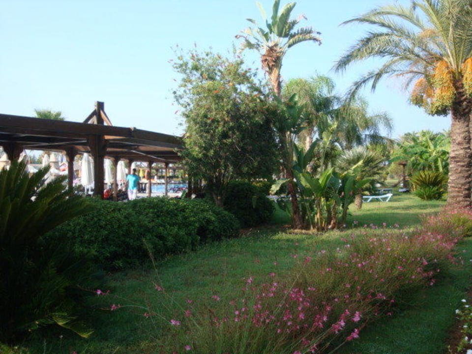 Zum Pool Calimera Serra Palace