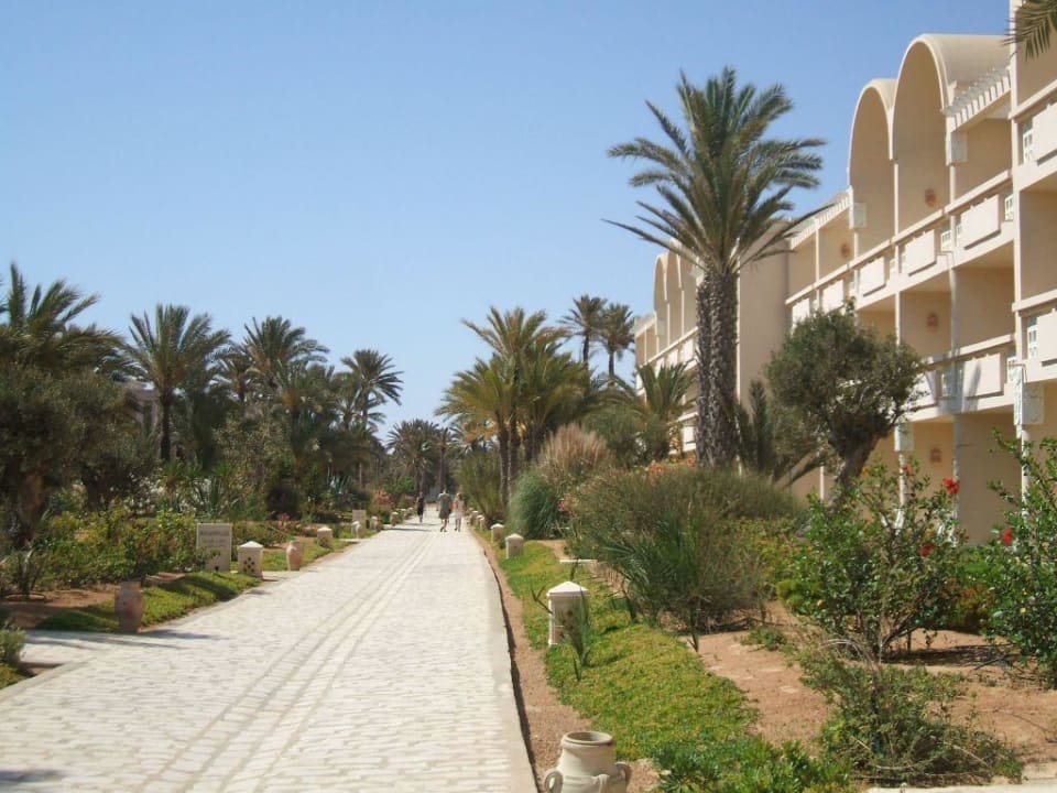 Garten mit Zimmer Zita Beach Resort