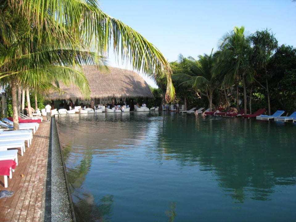 Pool Sun Siyam Iru Fushi