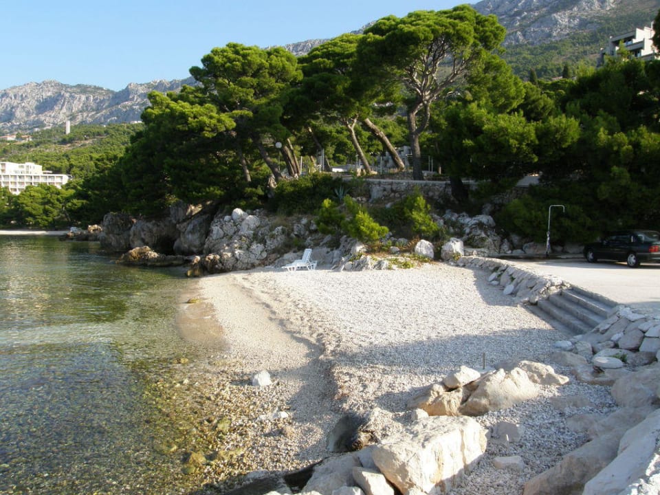 Ein Strandabschnitt vorm Hotel Bluesun Hotel Soline