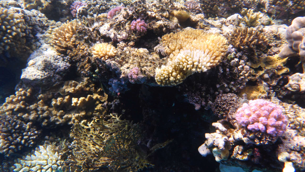 Strand Pickalbatros Villaggio Resort - Portofino