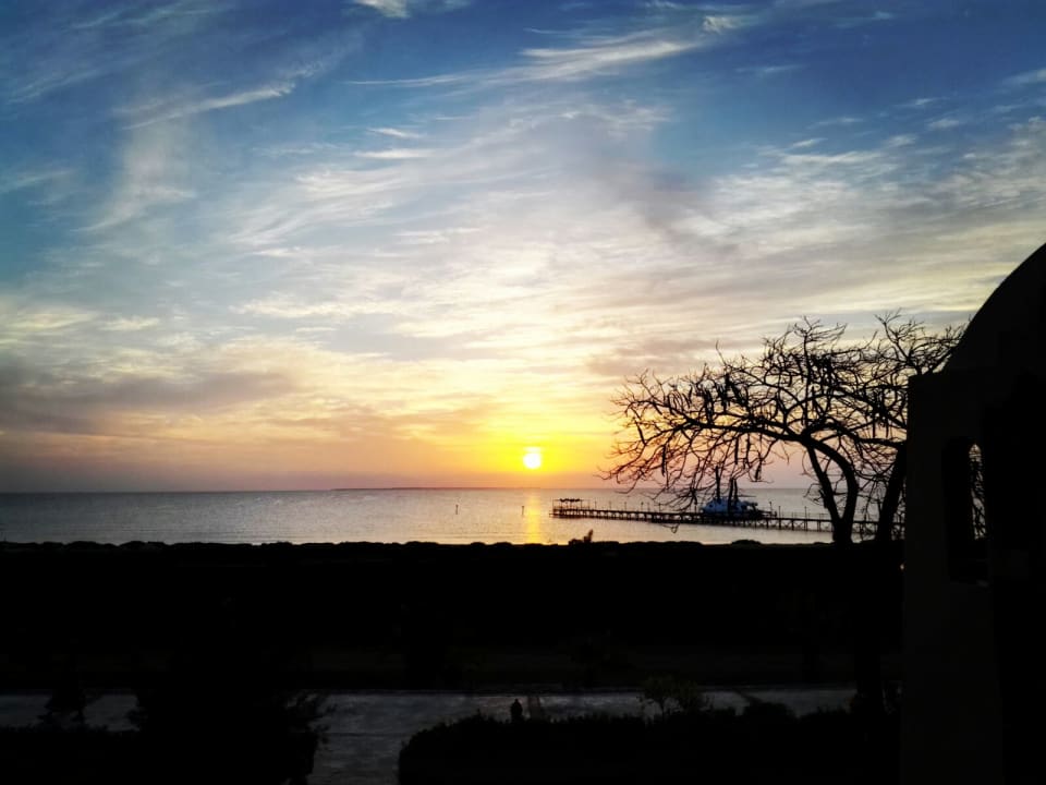 Ausblick Shams Alam Beach Resort