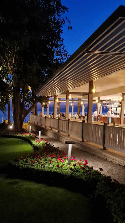 Gastro Acanthus Cennet Barut Collection