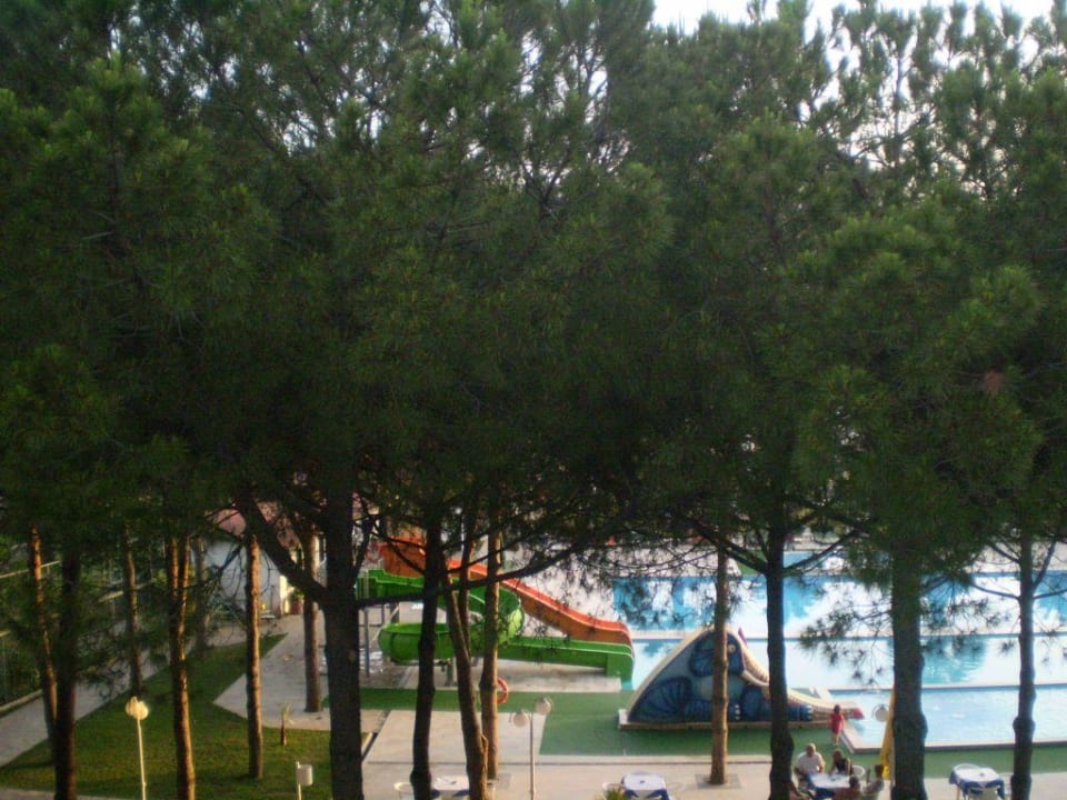 Вид из номера 2 этажа Hotel Grand Efe