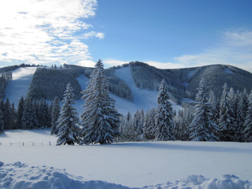 Vorm Hotel Almwellness Hotel Pierer