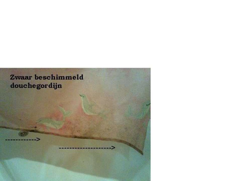 Dirty shower Hotel Alperbey