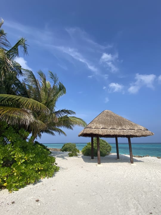 Strand Summer Island Maldives