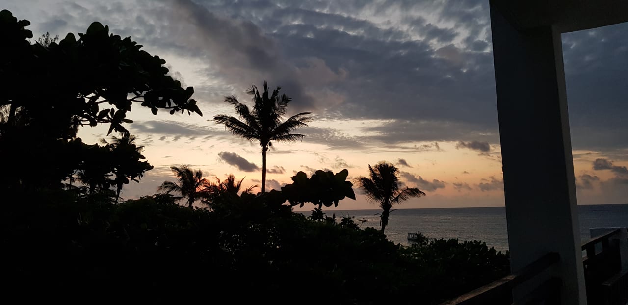 Ausblick Diani Sea Resort