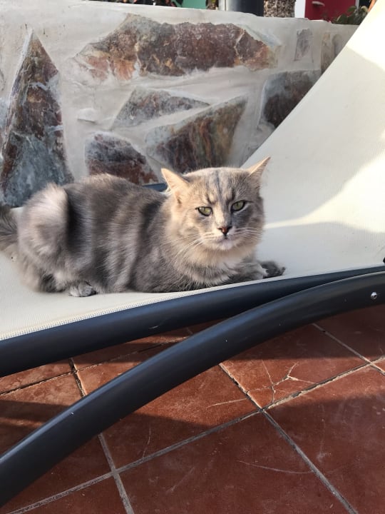 Sonstiges Club Hotel Drago Park