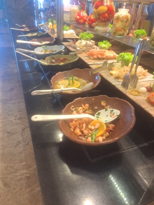 Gastro Seashell Vega