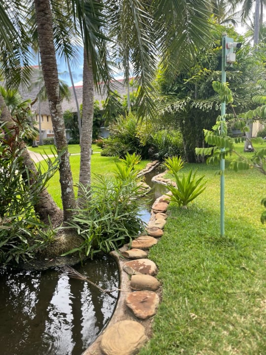 Gartenanlage Bahari Beach Hotel