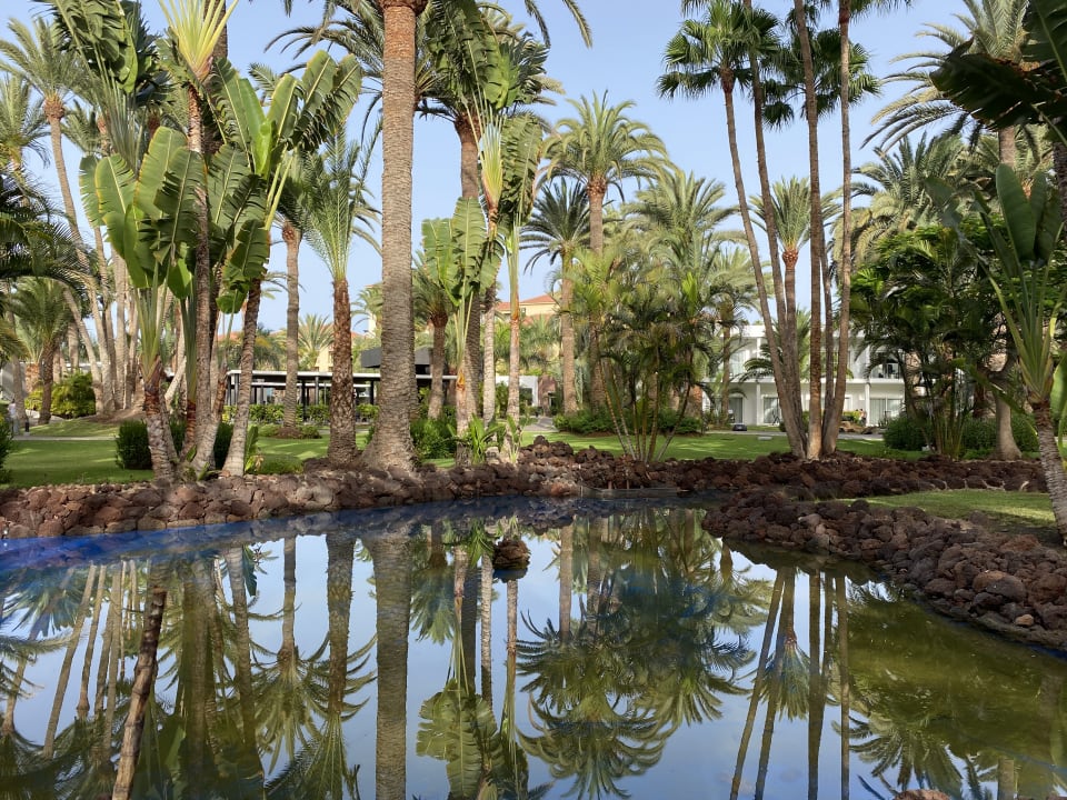 Gartenanlage Hotel Riu Palace Oasis