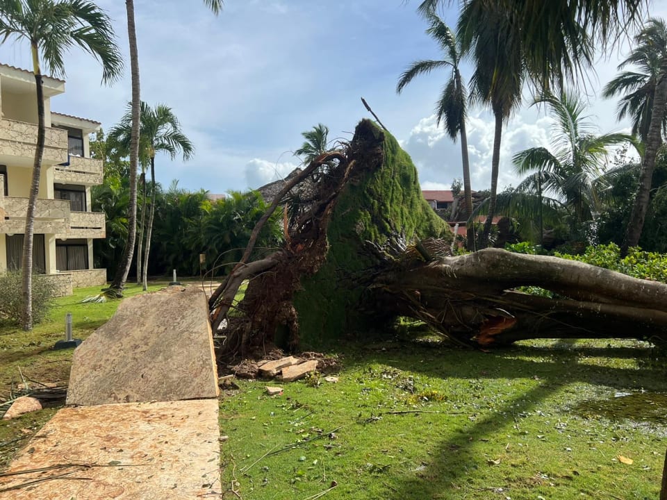 Gartenanlage Hotel Viva Dominicus Beach by Wyndham - All Inclusive Resort