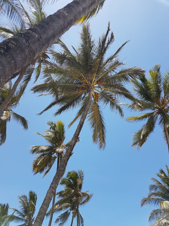 Ausblick Sultan Sands Island Resort & Spa