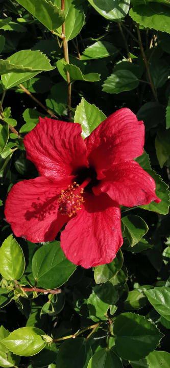 Außenansicht Sentido Trendy Verbena Beach