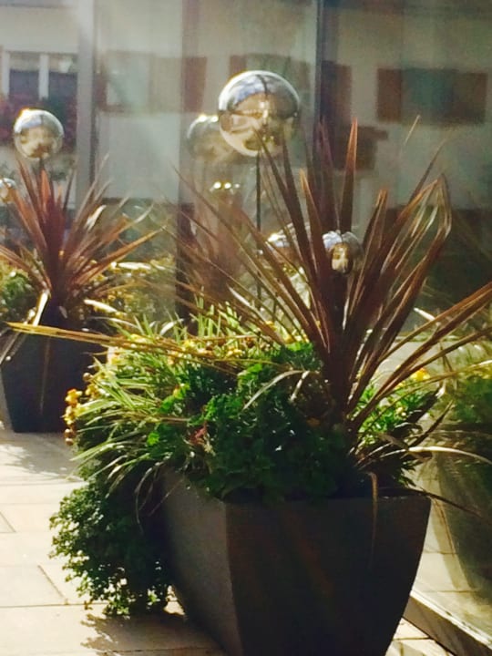 Gartenanlage Hotel Lindenwirt