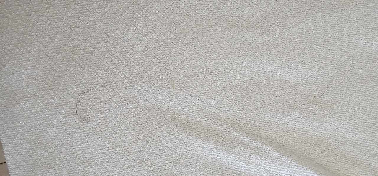 Zimmer Bull Dorado Beach & Spa