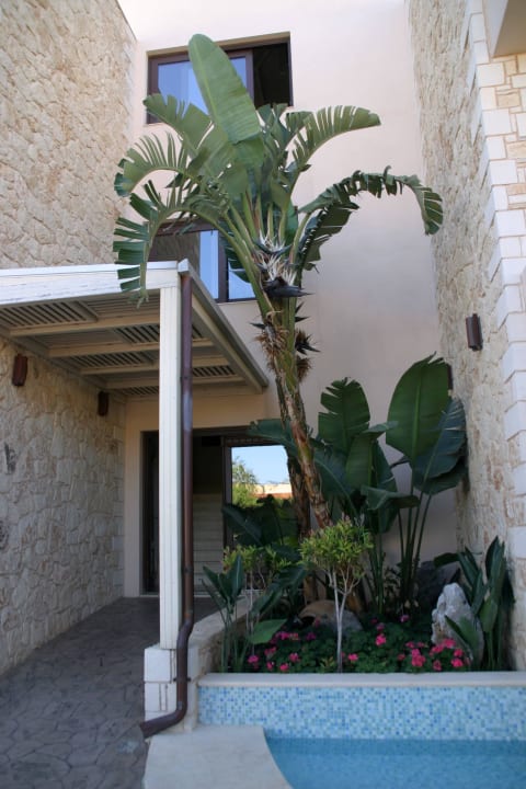 Hauptgebäude Cactus Royal