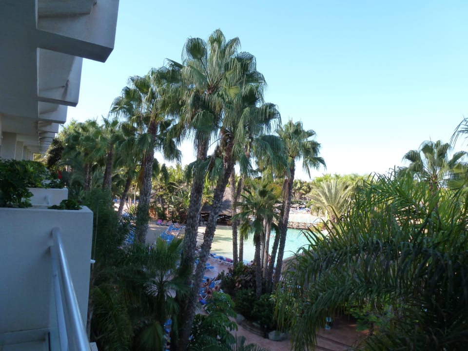 Ausblick Zimmer Tabaiba Princess