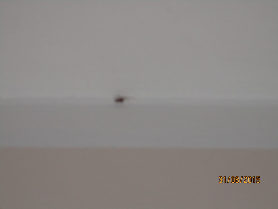 Begrüßungsspinne  Albergo Speranza