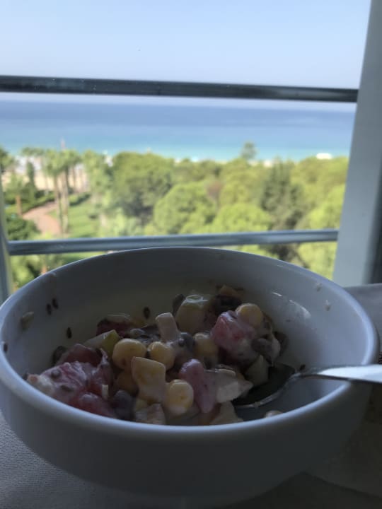 Ausblick Gardenia Hotel