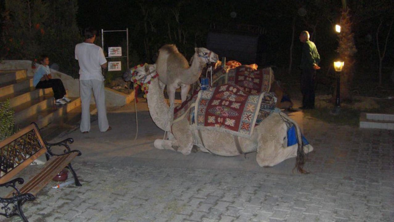 Marketplace at the hotel Crystal Paraiso Aqua Collection