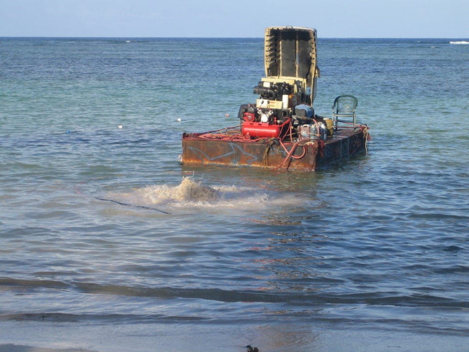 Und gegen Seegras tut man was Catalonia Royal Bavaro - Adults only