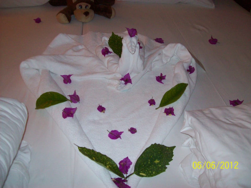 Schön geschmückt Alaiye Resort & Spa