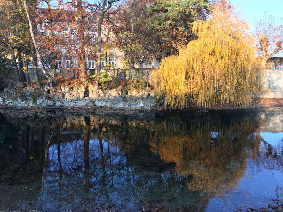 Außenansicht Steigenberger Inselhotel