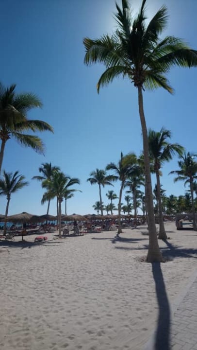 Plaża hotelowa - parasole Salalah Rotana Resort