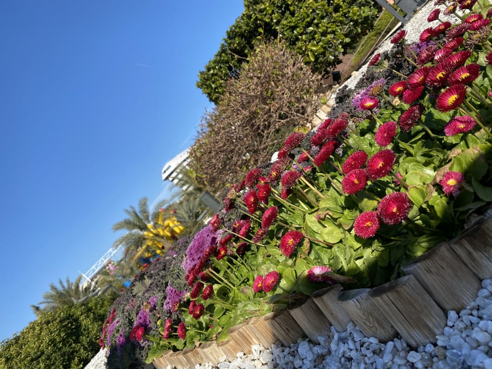 Gartenanlage Limak Lara Deluxe Hotel & Resort