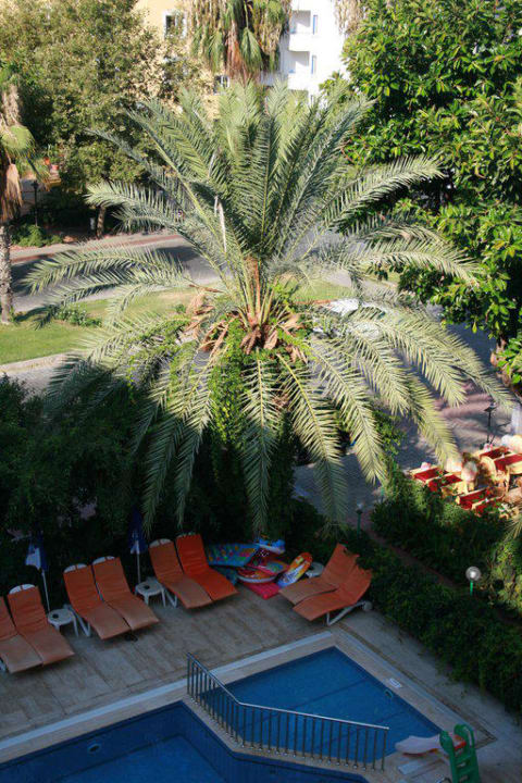 Blick vom Balkon auf den Pool Miray Hotel Kleopatra