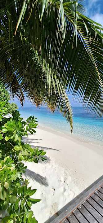 Ausblick Vilamendhoo Island Resort & Spa