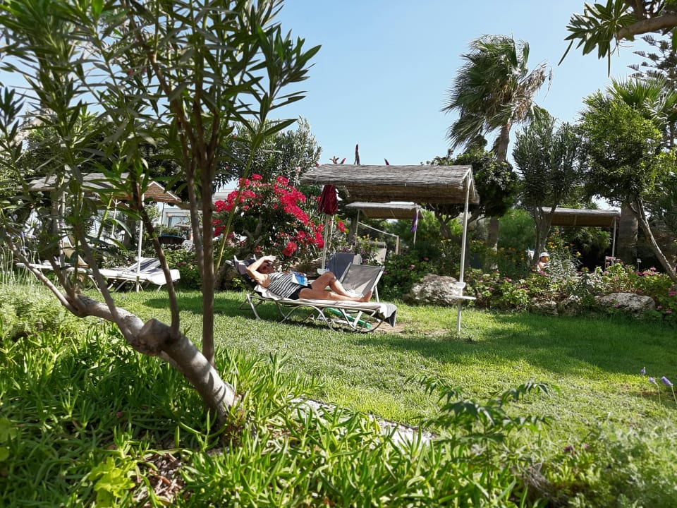 Gartenanlage Crystal Springs Beach Hotel