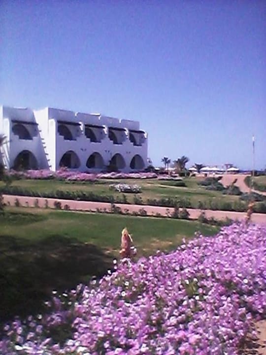 Kwiaty Three Corners Equinox Beach Resort