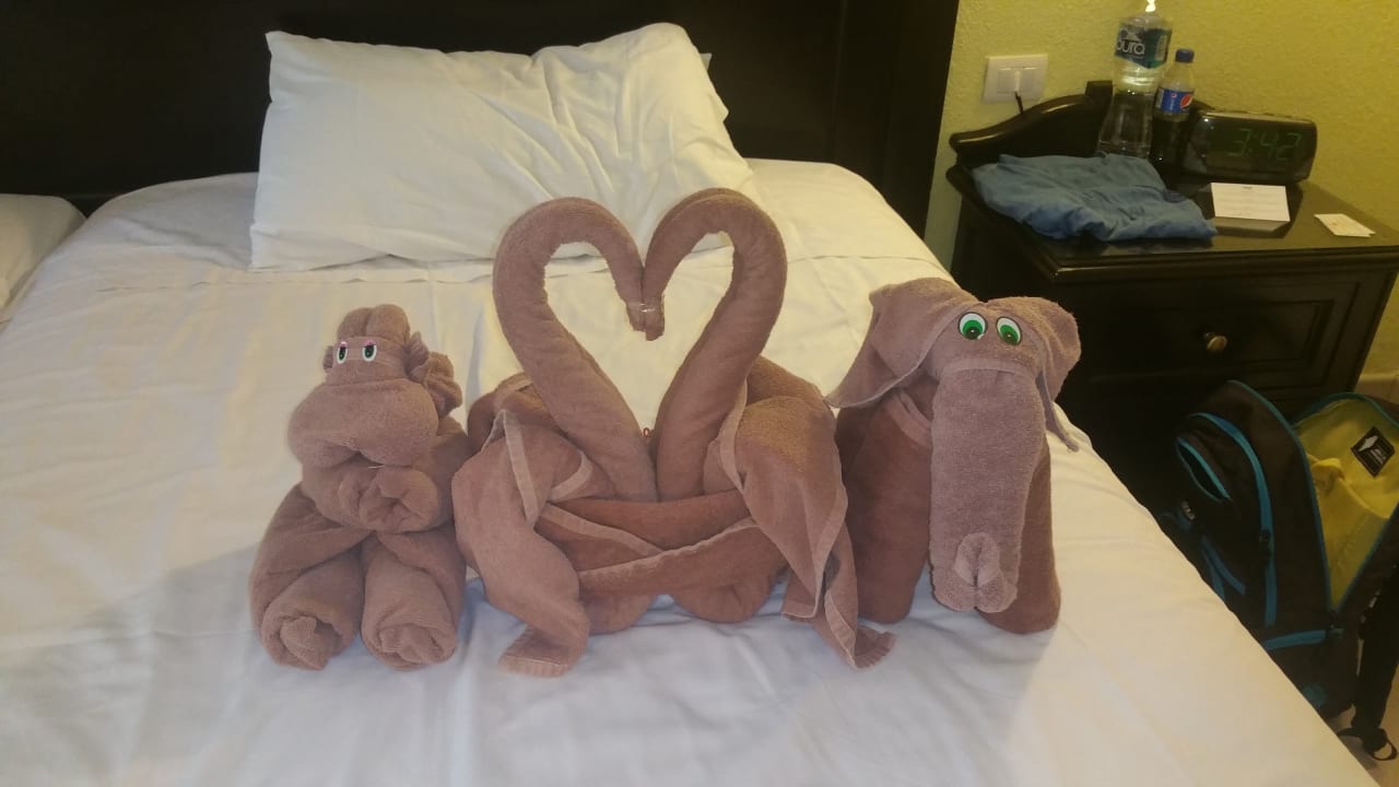 Zimmer Hotel Riu Tequila