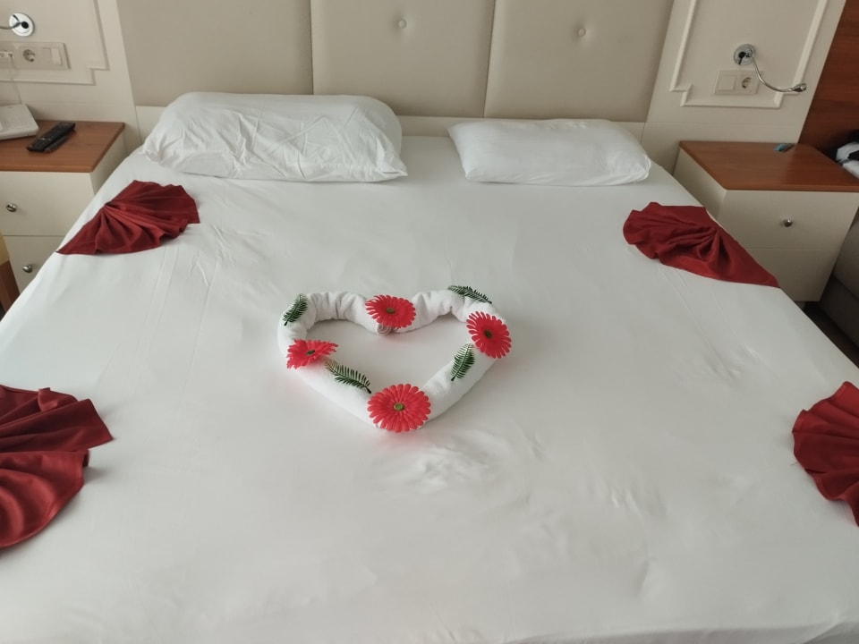 Zimmer Well Palace Side